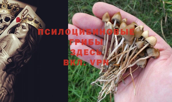 соль ск Беломорск