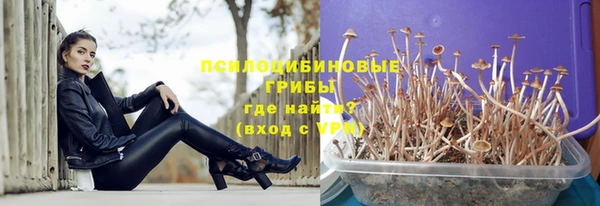 скорость mdpv Богородицк